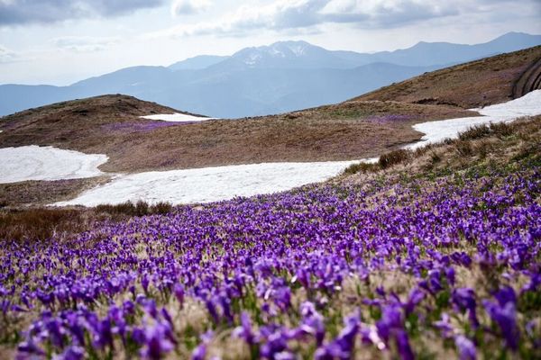 Весняні ритми Закарпаття: актуальний прогноз погоди у Хусті