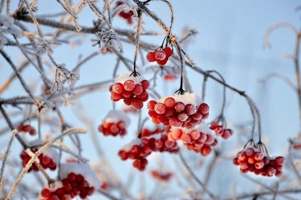 Прогноз погоди на 16 лютого