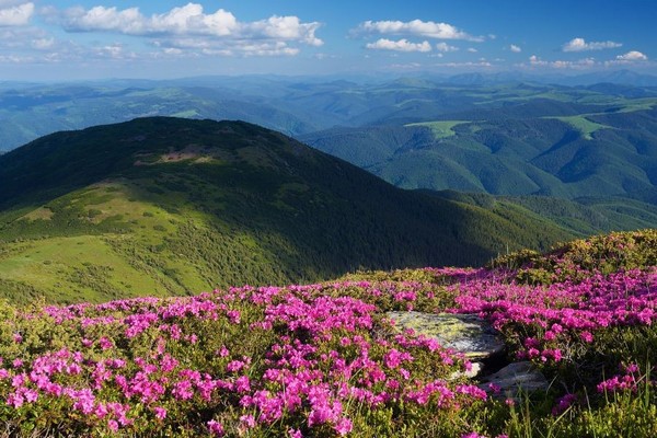 Весняне тепло у Хусті: детальний прогноз погоди на сьогодні