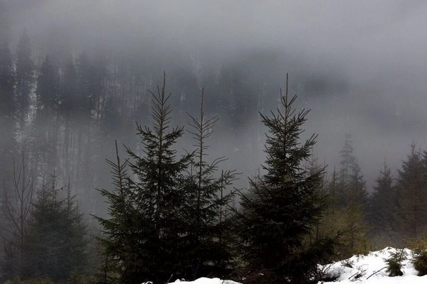 Прогноз погоди на 19 лютого