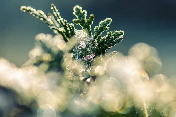 Прогноз погоди на 5 лютого